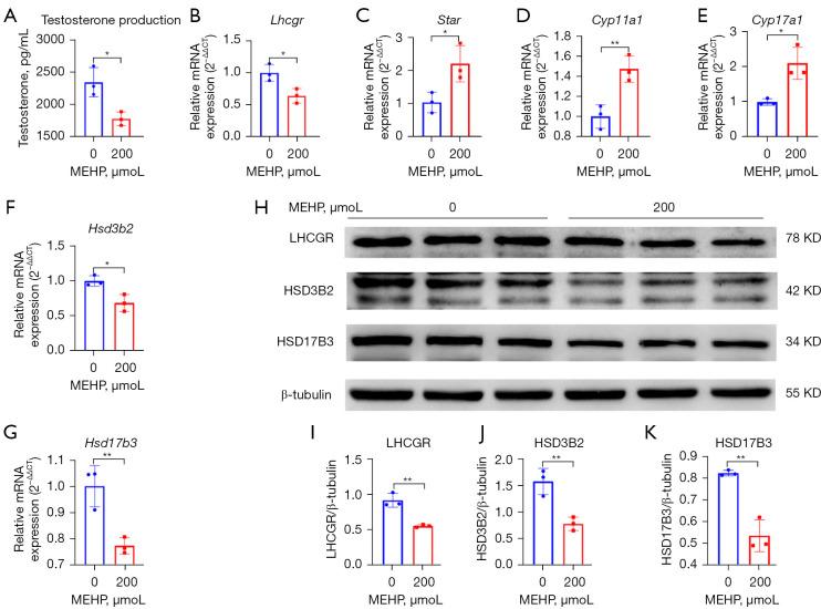 https://cdn.ncbi.nlm.nih.gov/pmc/blobs/0239/10999017/2b63df8d51ab/tau-13-03-369-f5.jpg