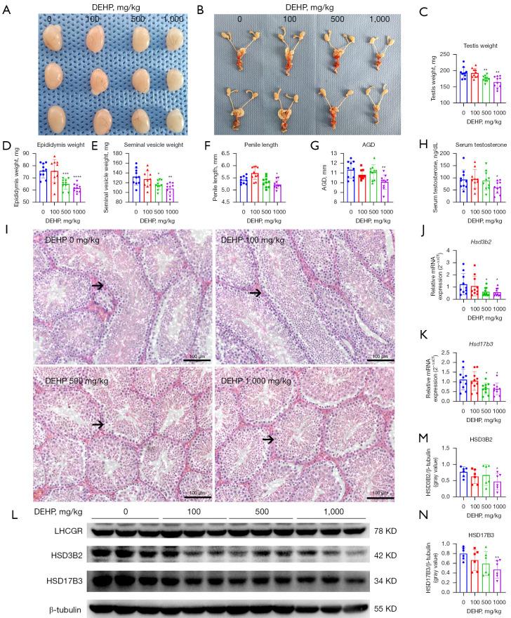 https://cdn.ncbi.nlm.nih.gov/pmc/blobs/0239/10999017/2d1de9cbf870/tau-13-03-369-f3.jpg
