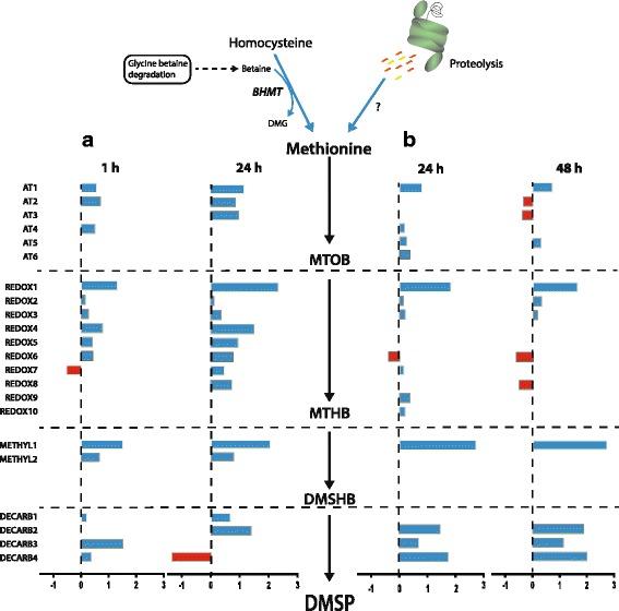https://cdn.ncbi.nlm.nih.gov/pmc/blobs/023a/5557254/e9ae4be30436/12864_2017_3959_Fig4_HTML.jpg