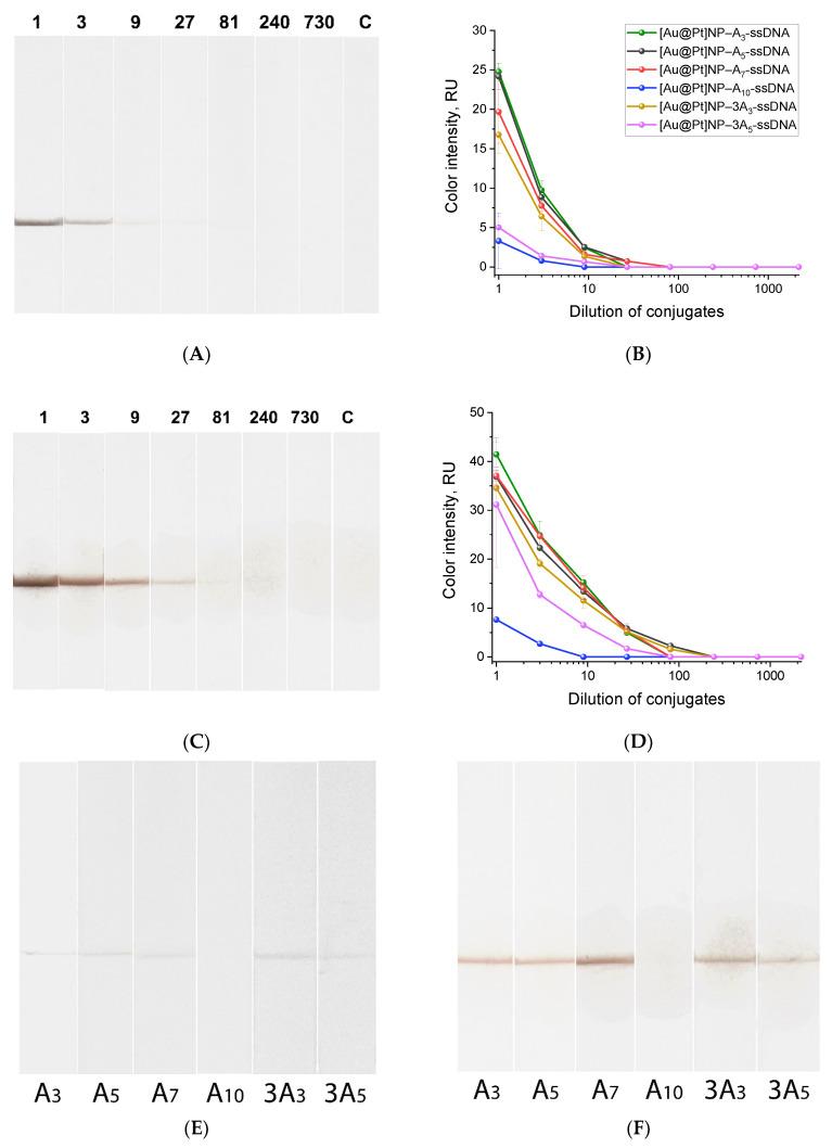 https://cdn.ncbi.nlm.nih.gov/pmc/blobs/023b/11432674/616346a4c28b/ijms-25-10108-g004.jpg