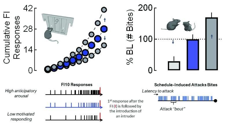 https://cdn.ncbi.nlm.nih.gov/pmc/blobs/023d/6593325/9e141bfdbee5/f1000research-8-20695-g0000.jpg