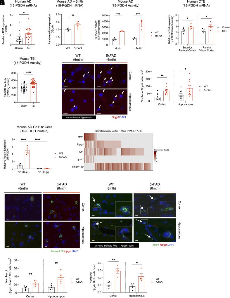 https://cdn.ncbi.nlm.nih.gov/pmc/blobs/023f/12130856/10d9727521ae/pnas.2417224122fig01.jpg