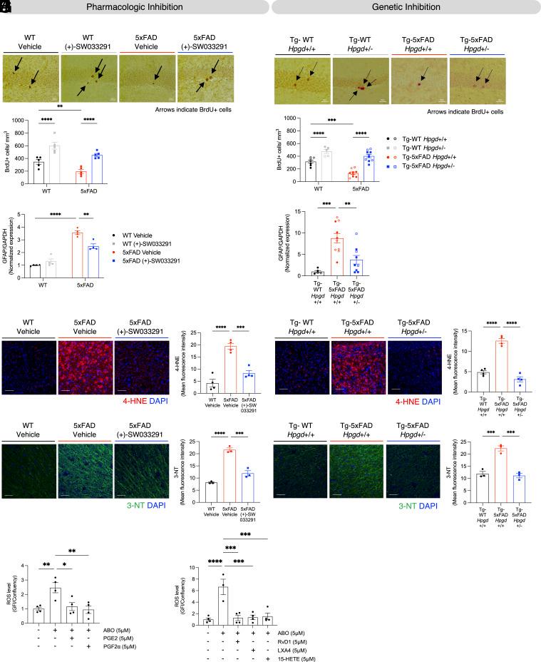https://cdn.ncbi.nlm.nih.gov/pmc/blobs/023f/12130856/6ee04551f485/pnas.2417224122fig03.jpg