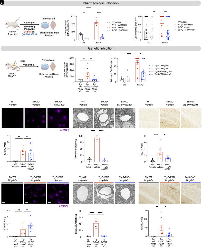 https://cdn.ncbi.nlm.nih.gov/pmc/blobs/023f/12130856/b5076ba8262a/pnas.2417224122fig02.jpg