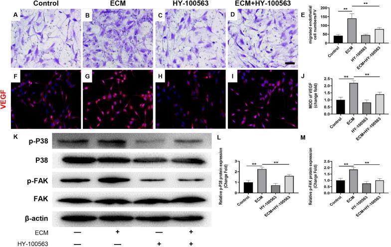 https://cdn.ncbi.nlm.nih.gov/pmc/blobs/0240/9290299/5532fe0d2b40/13287_2022_3009_Fig6_HTML.jpg