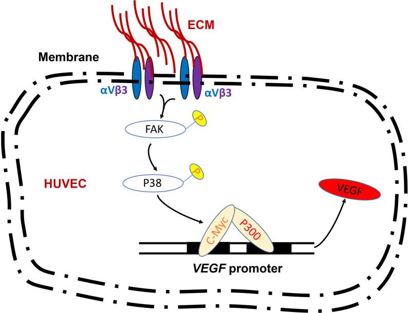 https://cdn.ncbi.nlm.nih.gov/pmc/blobs/0240/9290299/788fe35cc5a8/13287_2022_3009_Fig7_HTML.jpg