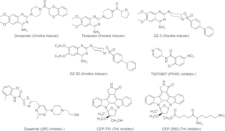 https://cdn.ncbi.nlm.nih.gov/pmc/blobs/0242/4629446/10d145e4eb7e/gr4.jpg