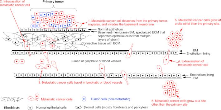 https://cdn.ncbi.nlm.nih.gov/pmc/blobs/0242/4629446/536058955727/fx1.jpg