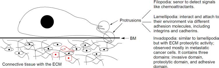 https://cdn.ncbi.nlm.nih.gov/pmc/blobs/0242/4629446/f369457e7755/gr3.jpg