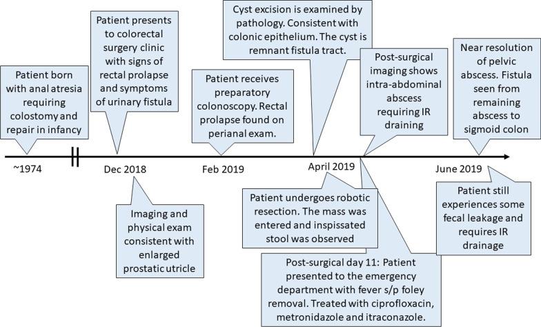 https://cdn.ncbi.nlm.nih.gov/pmc/blobs/0242/8281626/bce6c72542cb/13256_2021_2921_Fig2_HTML.jpg