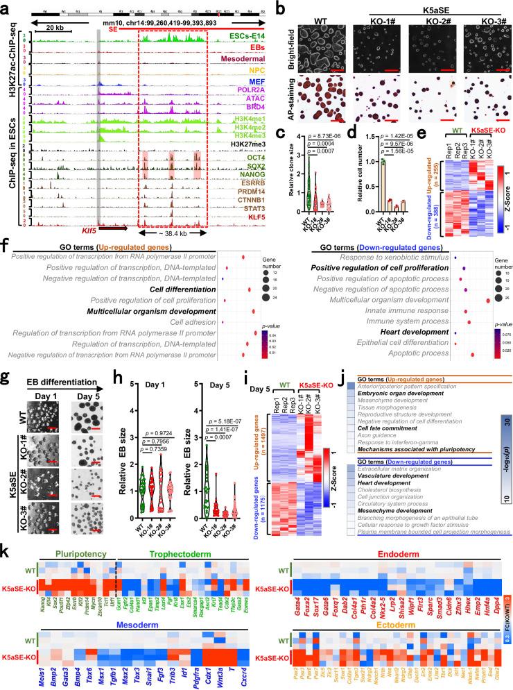 https://cdn.ncbi.nlm.nih.gov/pmc/blobs/0243/12215363/267f3daff6aa/41467_2025_60389_Fig2_HTML.jpg