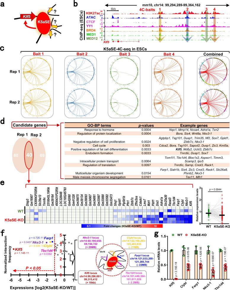 https://cdn.ncbi.nlm.nih.gov/pmc/blobs/0243/12215363/7d61103c821a/41467_2025_60389_Fig5_HTML.jpg