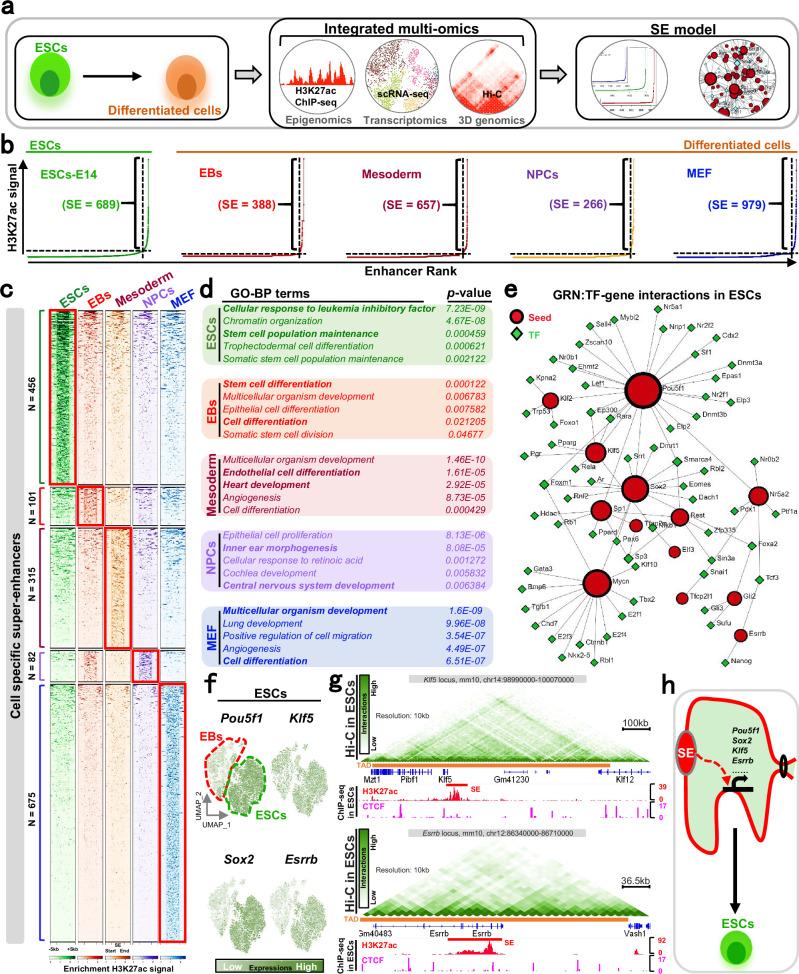 https://cdn.ncbi.nlm.nih.gov/pmc/blobs/0243/12215363/96a70eef2318/41467_2025_60389_Fig1_HTML.jpg