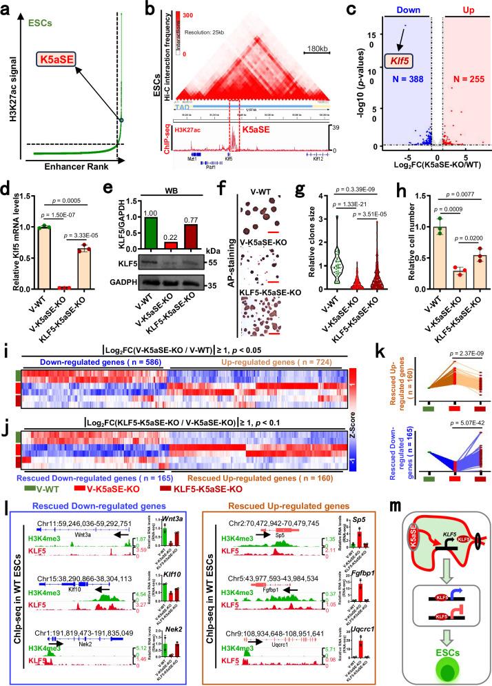 https://cdn.ncbi.nlm.nih.gov/pmc/blobs/0243/12215363/b3b260cfde42/41467_2025_60389_Fig3_HTML.jpg
