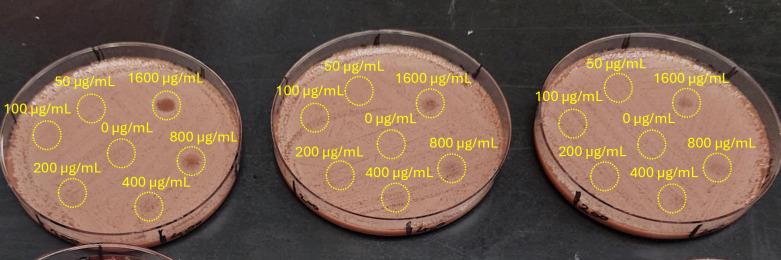https://cdn.ncbi.nlm.nih.gov/pmc/blobs/0244/12186951/8ce429145e30/pone.0313055.g006.jpg