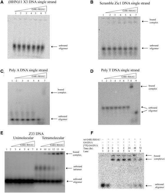 https://cdn.ncbi.nlm.nih.gov/pmc/blobs/0245/3167620/0e828cc76791/gkr234f3.jpg