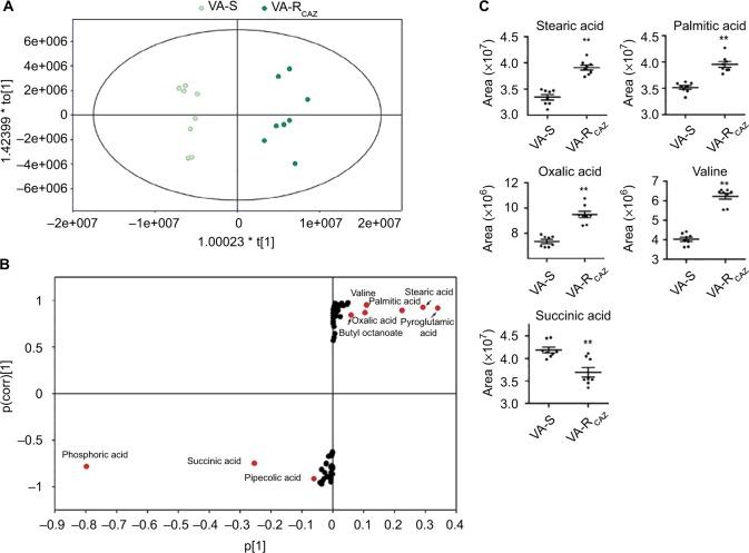 https://cdn.ncbi.nlm.nih.gov/pmc/blobs/0246/6388739/162f329fe6a2/idr-12-417Fig4.jpg