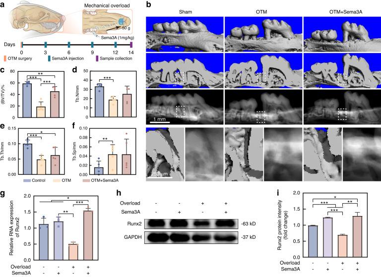https://cdn.ncbi.nlm.nih.gov/pmc/blobs/0247/10796360/5bc190720d36/41368_2023_269_Fig5_HTML.jpg