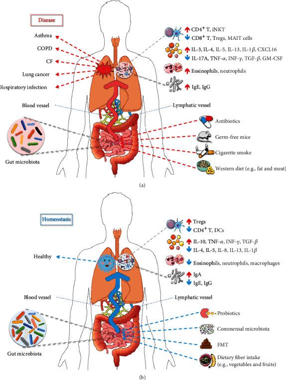 https://cdn.ncbi.nlm.nih.gov/pmc/blobs/0248/7415116/35bec31a0f4e/JIR2020-2340670.001.jpg