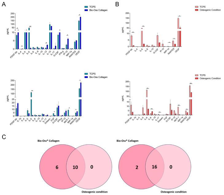 https://cdn.ncbi.nlm.nih.gov/pmc/blobs/0249/12027874/608b4319943e/ijms-26-03807-g002.jpg