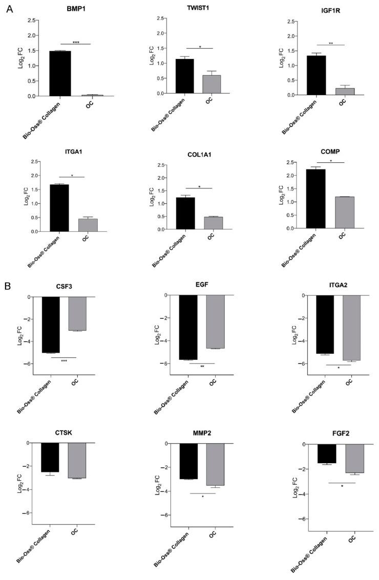 https://cdn.ncbi.nlm.nih.gov/pmc/blobs/0249/12027874/ad2ae17ef29a/ijms-26-03807-g001.jpg