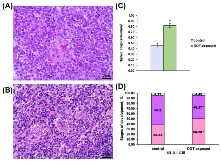 https://cdn.ncbi.nlm.nih.gov/pmc/blobs/024b/9223823/f081b3873dc7/ijms-23-06678-g002.jpg