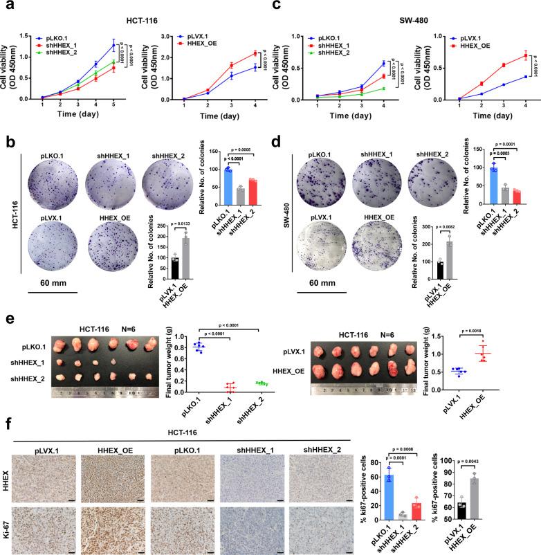 https://cdn.ncbi.nlm.nih.gov/pmc/blobs/024b/9411202/1cb8b545bf07/41467_2022_32674_Fig3_HTML.jpg