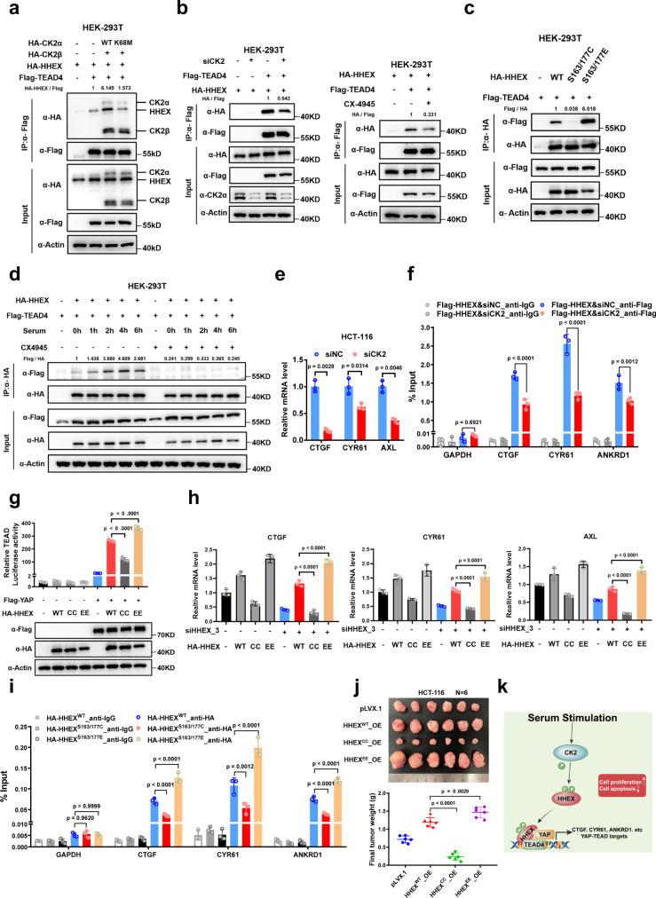 https://cdn.ncbi.nlm.nih.gov/pmc/blobs/024b/9411202/8038cad17ef9/41467_2022_32674_Fig5_HTML.jpg