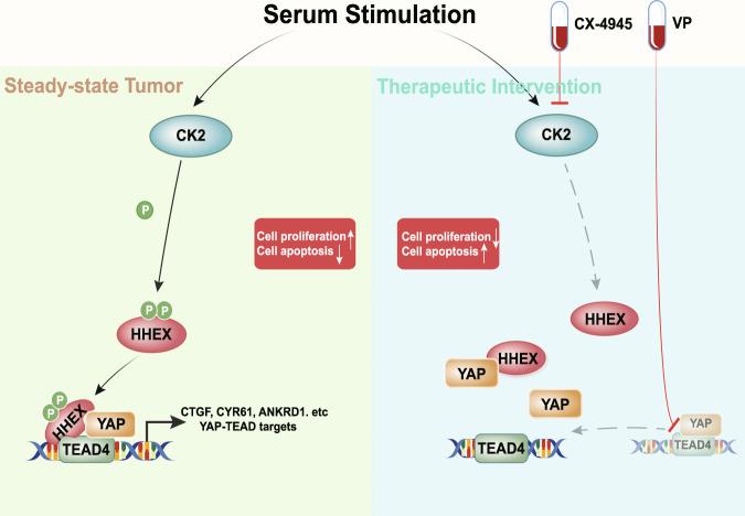 https://cdn.ncbi.nlm.nih.gov/pmc/blobs/024b/9411202/c0a7b5ebf241/41467_2022_32674_Fig8_HTML.jpg
