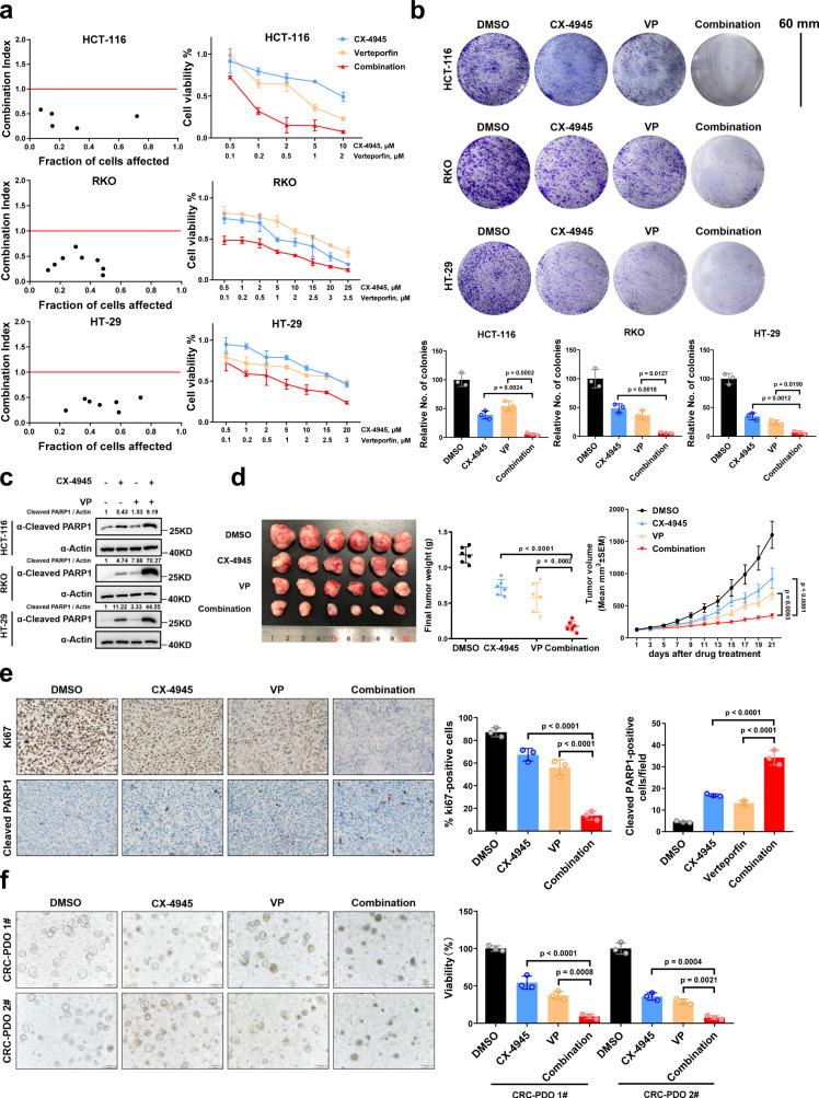 https://cdn.ncbi.nlm.nih.gov/pmc/blobs/024b/9411202/d1e3045f9b5b/41467_2022_32674_Fig6_HTML.jpg