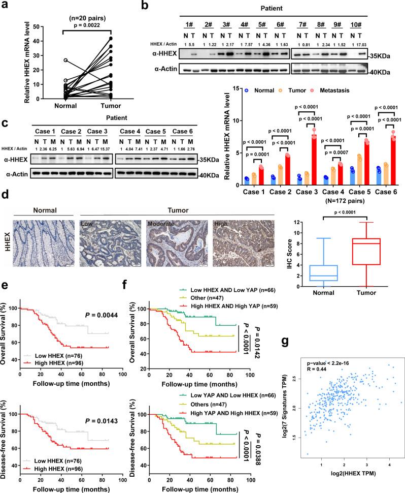 https://cdn.ncbi.nlm.nih.gov/pmc/blobs/024b/9411202/d3fb5ebfc4fd/41467_2022_32674_Fig7_HTML.jpg