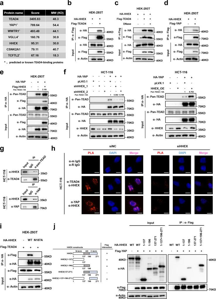 https://cdn.ncbi.nlm.nih.gov/pmc/blobs/024b/9411202/d7c6b86e3ce1/41467_2022_32674_Fig1_HTML.jpg