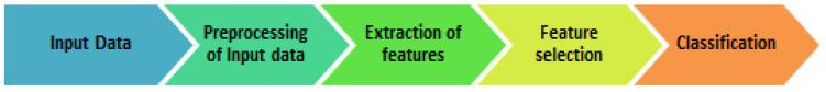 https://cdn.ncbi.nlm.nih.gov/pmc/blobs/024e/11241753/7503c2d13432/diagnostics-14-01441-g001.jpg