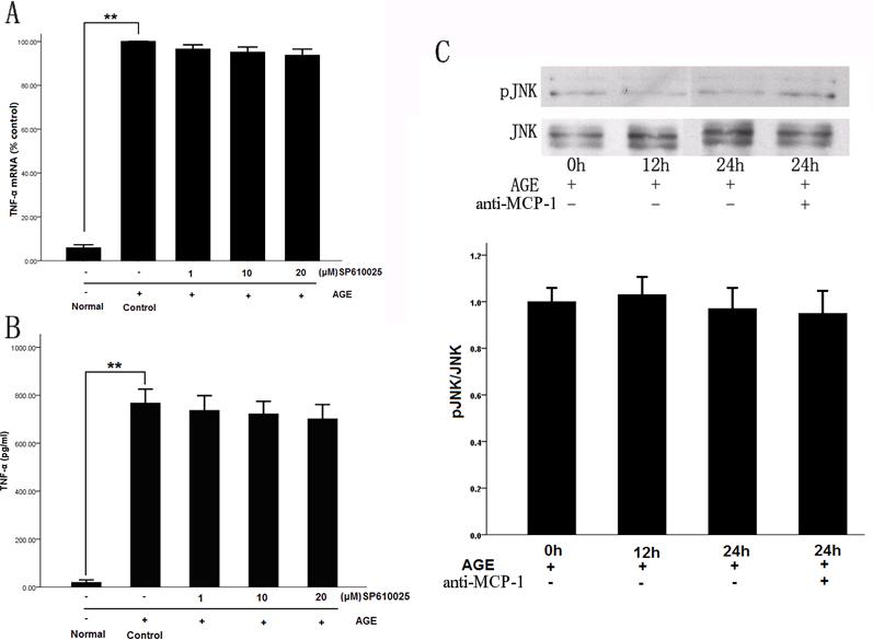 https://cdn.ncbi.nlm.nih.gov/pmc/blobs/024e/4016805/86a01f818efd/mv-v20-616-f5.jpg