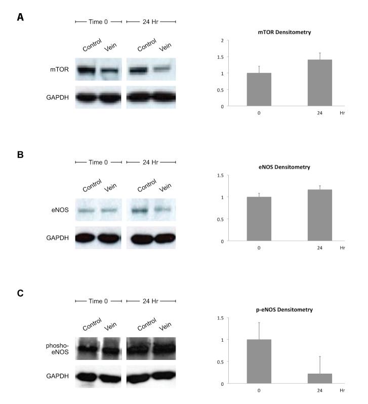 https://cdn.ncbi.nlm.nih.gov/pmc/blobs/024f/4144290/450f90ae5737/yjbm_87_3_359_g04.jpg