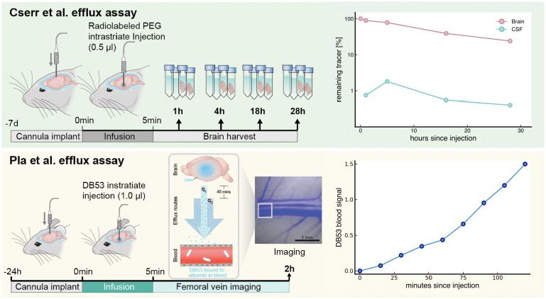 https://cdn.ncbi.nlm.nih.gov/pmc/blobs/0252/11032467/4e17f0ec7963/pnas.2318444121fig01.jpg