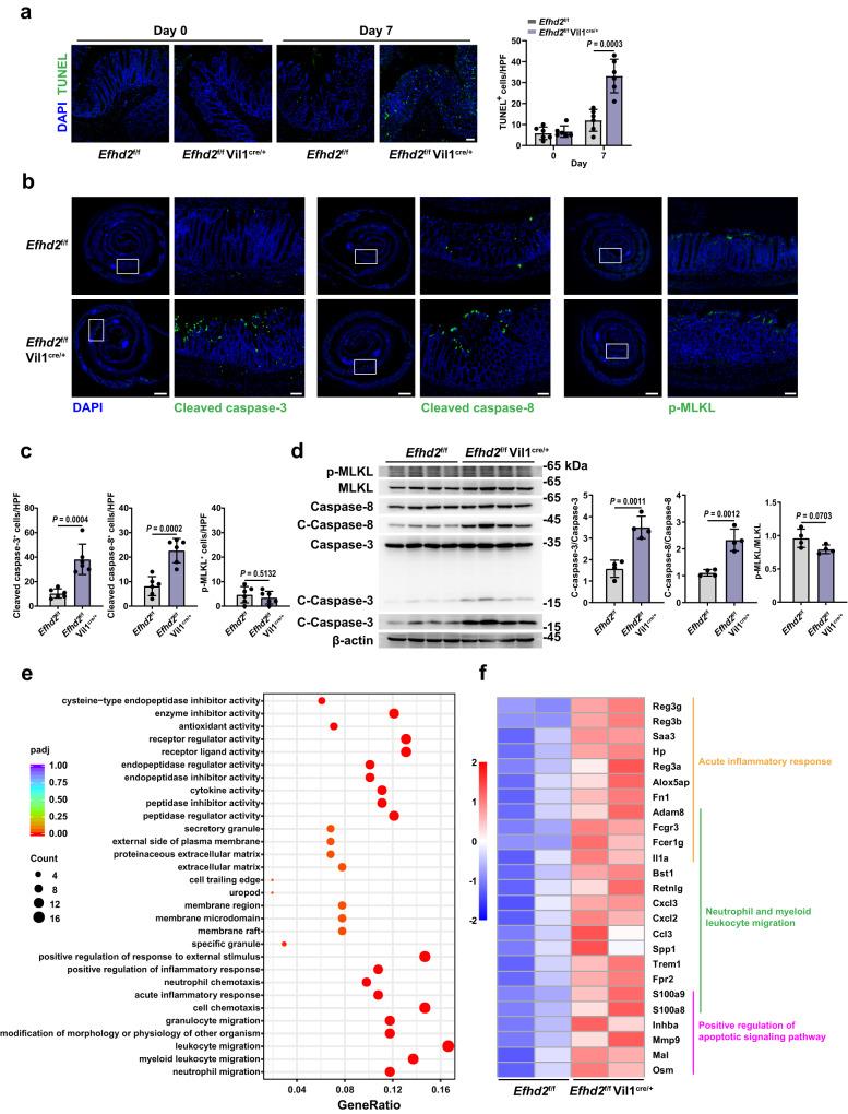 https://cdn.ncbi.nlm.nih.gov/pmc/blobs/0253/10861516/6d644a2a75e3/41467_2024_45539_Fig3_HTML.jpg
