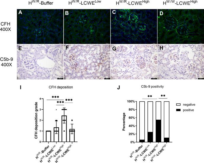 https://cdn.ncbi.nlm.nih.gov/pmc/blobs/0253/10978756/03cefcdffcaf/fimmu-15-1368322-g005.jpg