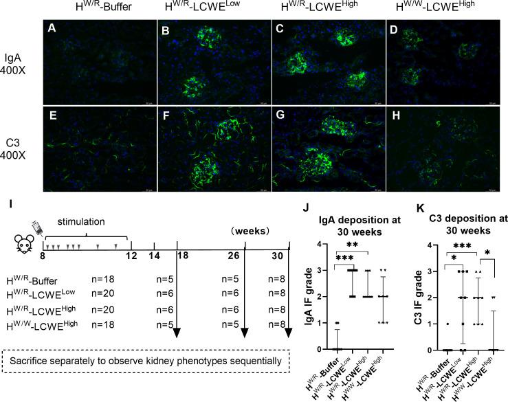 https://cdn.ncbi.nlm.nih.gov/pmc/blobs/0253/10978756/a7a53311a32a/fimmu-15-1368322-g002.jpg