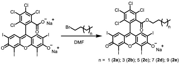 https://cdn.ncbi.nlm.nih.gov/pmc/blobs/0253/9687286/9756576bff89/biomolecules-12-01609-sch001.jpg