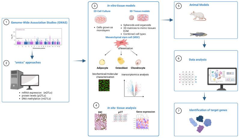 https://cdn.ncbi.nlm.nih.gov/pmc/blobs/0254/12346553/3cc29d945669/ijms-26-07237-g001.jpg