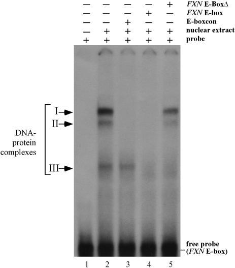 https://cdn.ncbi.nlm.nih.gov/pmc/blobs/0254/1904289/70f76080ca55/gkm271f4.jpg