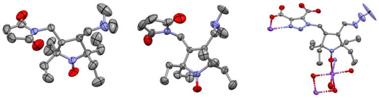 https://cdn.ncbi.nlm.nih.gov/pmc/blobs/0256/10855552/25fd4bdb5343/ijms-25-01550-g003.jpg