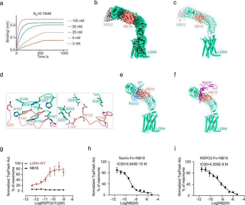 https://cdn.ncbi.nlm.nih.gov/pmc/blobs/0256/12234955/7d3e348fa7ec/41467_2025_61545_Fig4_HTML.jpg