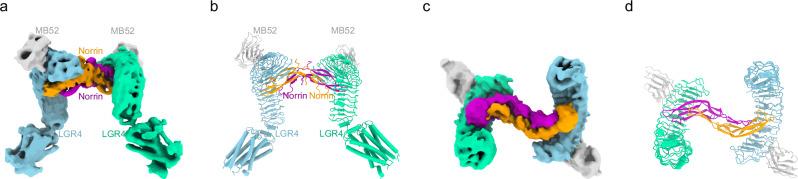 https://cdn.ncbi.nlm.nih.gov/pmc/blobs/0256/12234955/9a48b3783b76/41467_2025_61545_Fig1_HTML.jpg