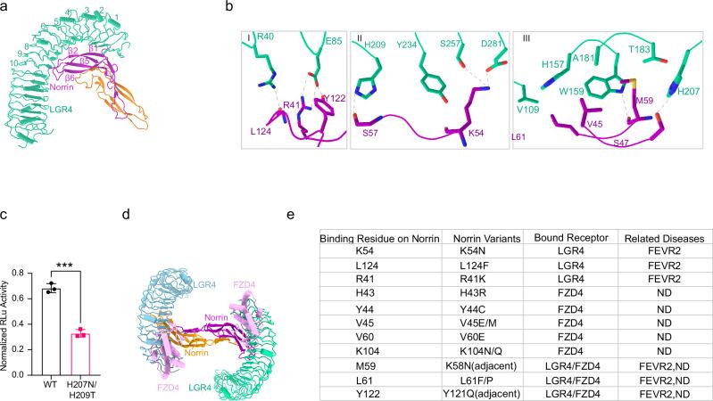 https://cdn.ncbi.nlm.nih.gov/pmc/blobs/0256/12234955/ae81f3261bf6/41467_2025_61545_Fig2_HTML.jpg