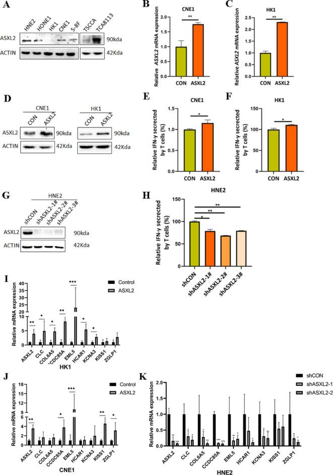 https://cdn.ncbi.nlm.nih.gov/pmc/blobs/025a/11682168/d844472466b6/41598_2024_82815_Fig6_HTML.jpg