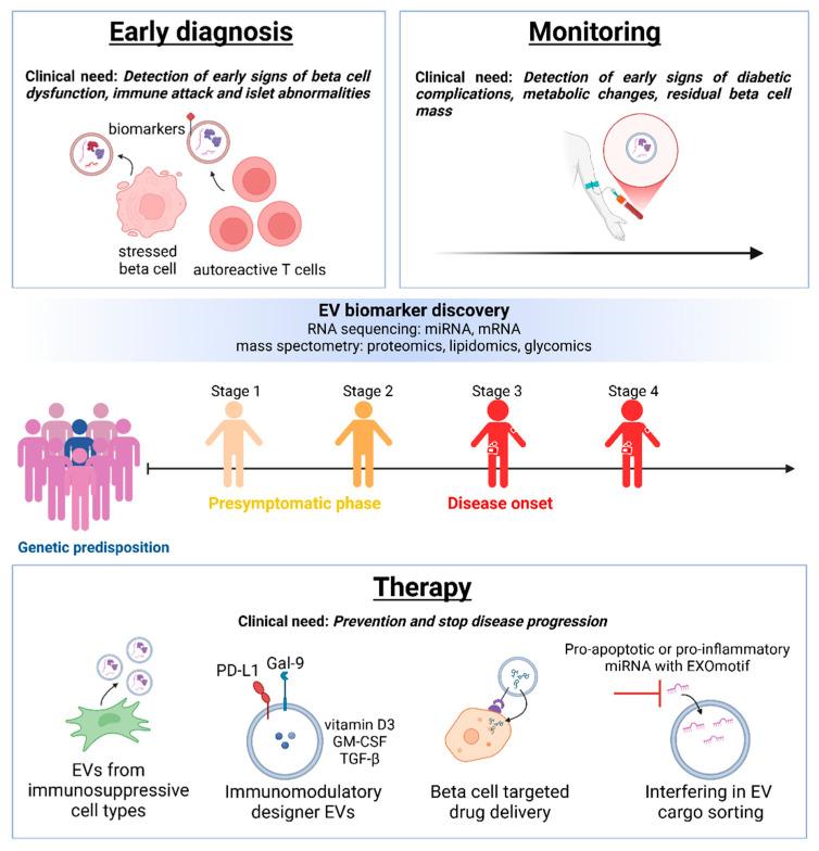 https://cdn.ncbi.nlm.nih.gov/pmc/blobs/025b/11640590/6a56cd73a85b/cells-13-01996-g002.jpg