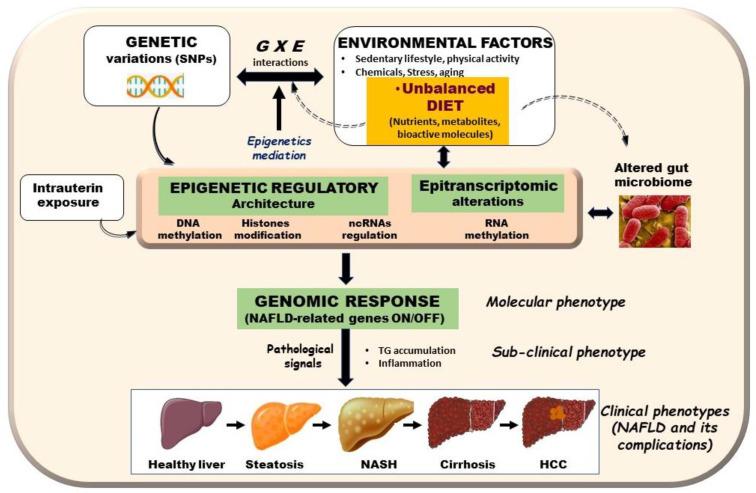 https://cdn.ncbi.nlm.nih.gov/pmc/blobs/025c/8468830/e13b40ea7f15/biomedicines-09-01256-g001.jpg