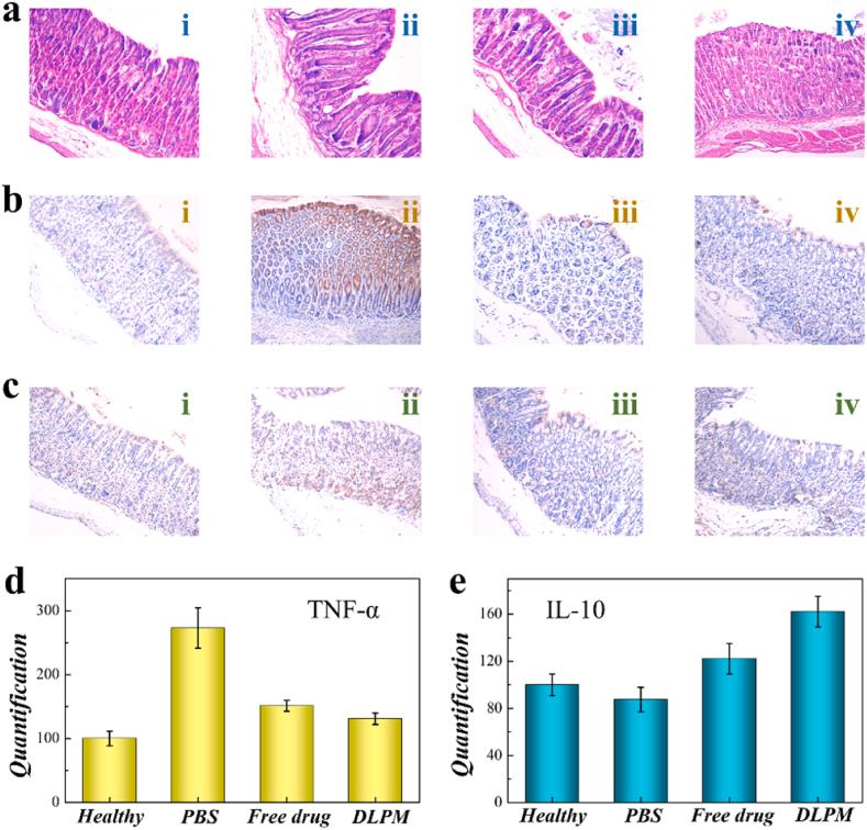https://cdn.ncbi.nlm.nih.gov/pmc/blobs/025d/10542601/df89189d57ef/gr6.jpg